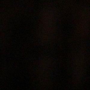 Meet your Posher, Ellie